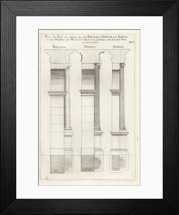 Framed Print : Profiles of Tuscan, Doric and Ionic order columns Framed Print : Profiles of Tuscan, Doric and Ionic order columns