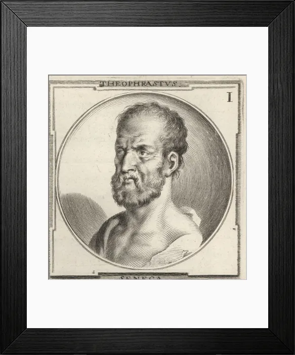 Framed Print : Theophrastus, Greek philosopher, c.371-287 BC Framed Print : Theophrastus, Greek philosopher, c.371-287 BC