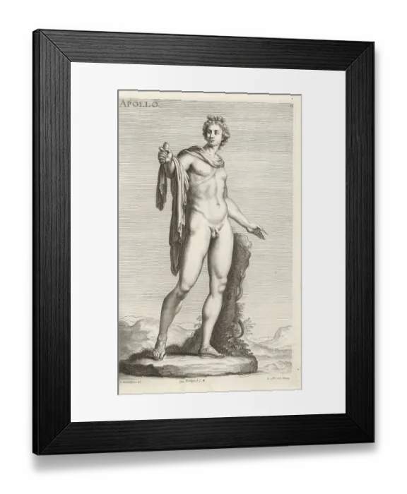 Framed Print : The Apollo Belvedere sculpture Framed Print : The Apollo Belvedere sculpture