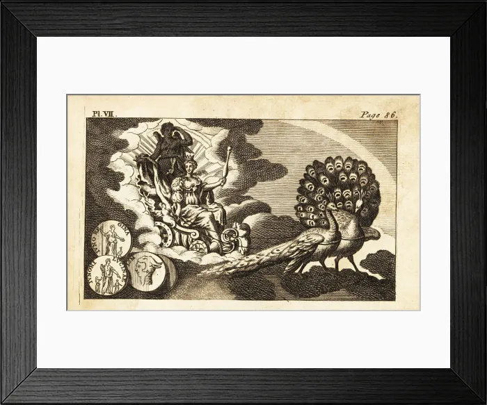 Framed Print : Juno, Roman goddess of marriage and queen of the gods Framed Print : Juno, Roman goddess of marriage and queen of the gods