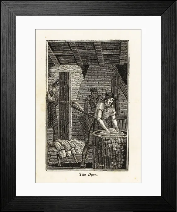 Framed Print : Dyer dunking bolts of fabric in a vat in a workshop Framed Print : Dyer dunking bolts of fabric in a vat in a workshop