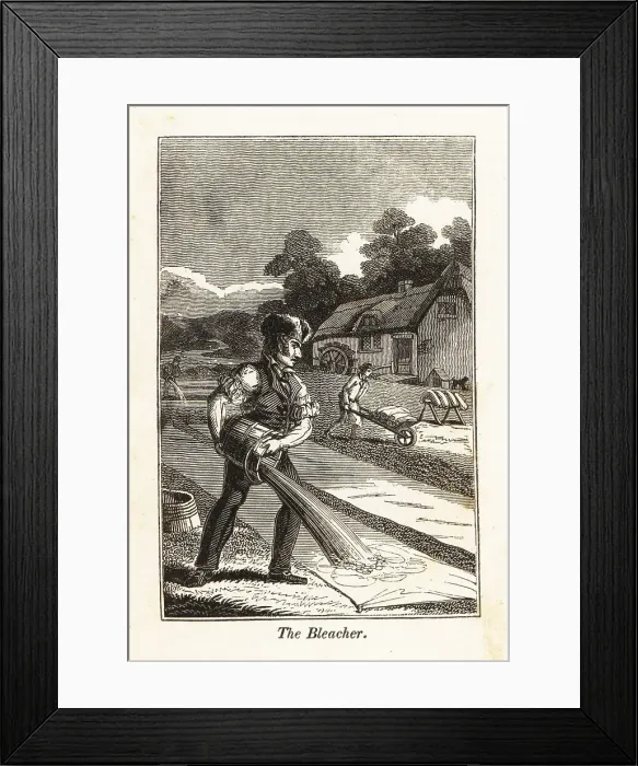 Framed Print : Man bleaching cotton on a bleachfield Framed Print : Man bleaching cotton on a bleachfield