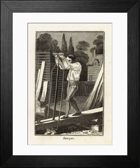 Framed Print : Sawyers cutting timber with a large saw in a lumber yard Framed Print : Sawyers cutting timber with a large saw in a lumber yard