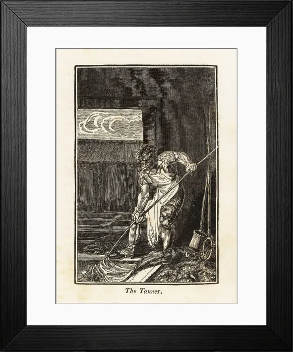 Framed Print : Tanner moving a leather hide in a liming pit in a tannery Framed Print : Tanner moving a leather hide in a liming pit in a tannery