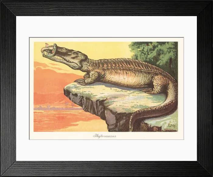 Framed Print : Reconstruction of a Phytosaur with Ceratodus Framed Print : Reconstruction of a Phytosaur with Ceratodus