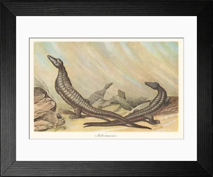 Framed Print : Reconstruction of Aetosaurus ferratus in a sand storm Framed Print : Reconstruction of Aetosaurus ferratus in a sand storm