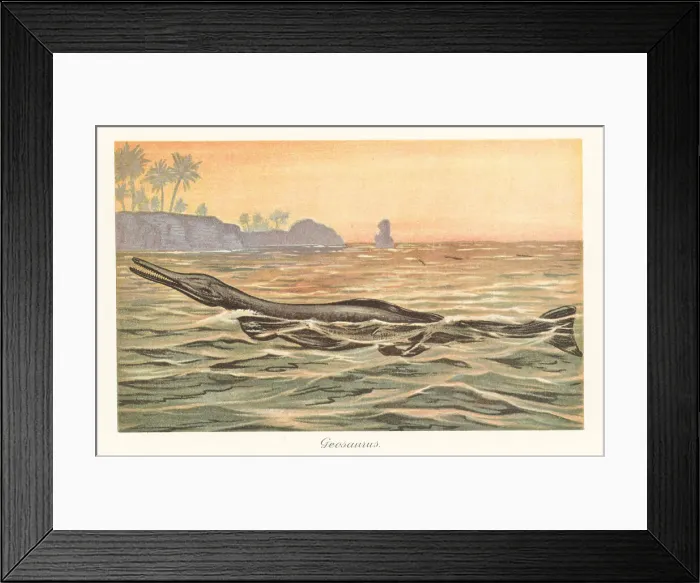 Framed Print : Reconstruction of a Geosaurus giganteus Framed Print : Reconstruction of a Geosaurus giganteus