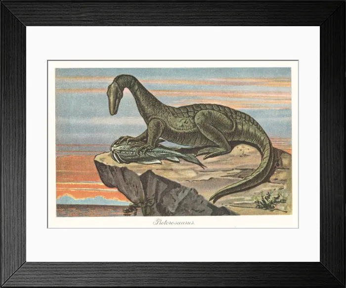 Framed Print : Reconstruction of Protorosaurus speneri and Menaspis armata Framed Print : Reconstruction of Protorosaurus speneri and Menaspis armata