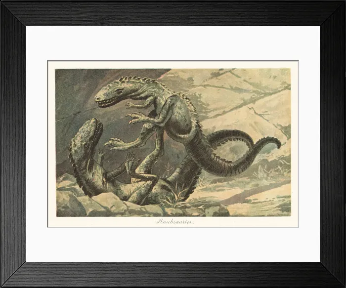 Framed Print : Reconstruction of two dinosaurs in battle Framed Print : Reconstruction of two dinosaurs in battle