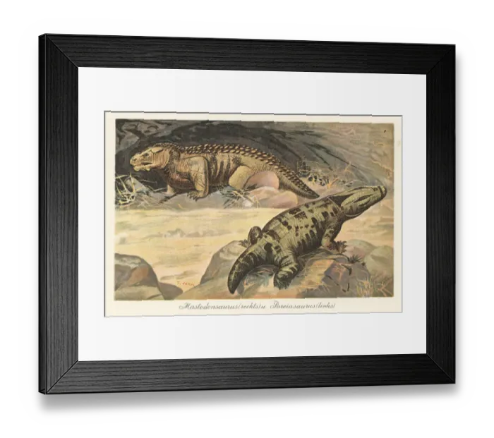 Framed Print : Reconstruction of a Mastodonsaurus and Pareiasaurus Framed Print : Reconstruction of a Mastodonsaurus and Pareiasaurus