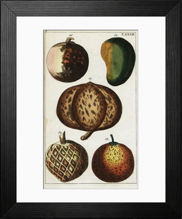 Framed Print : Varieties of tropical fruits Framed Print : Varieties of tropical fruits