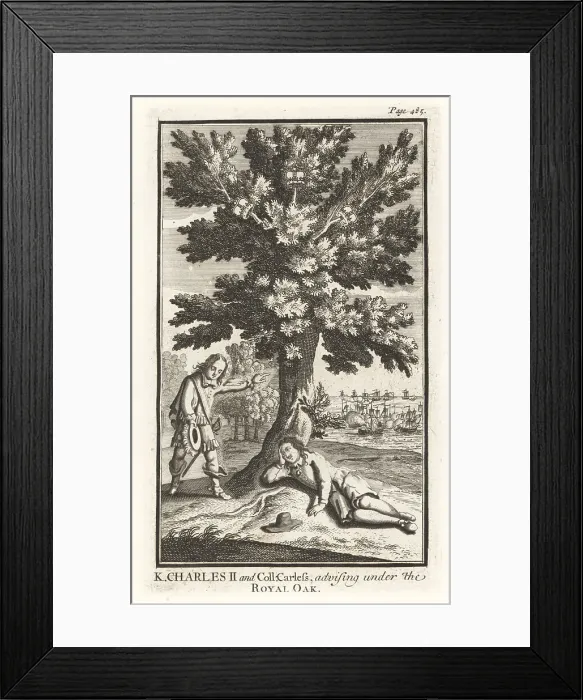 Framed Print : William Careless hiding King Charles II in an oak tree, 1651