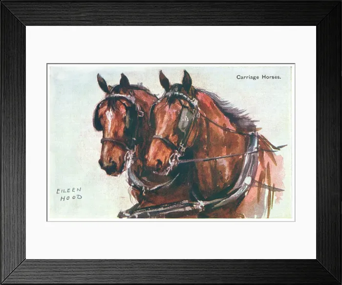 Framed Print : Carriage Horses Framed Print : Carriage Horses