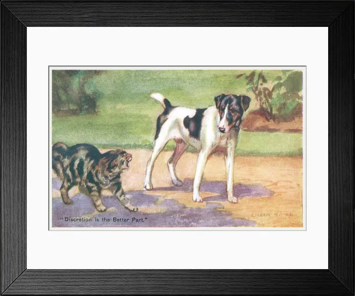 Framed Print : Cat & Dog Fight Framed Print : Cat & Dog Fight