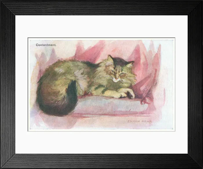 Framed Print : Contented Cat Framed Print : Contented Cat