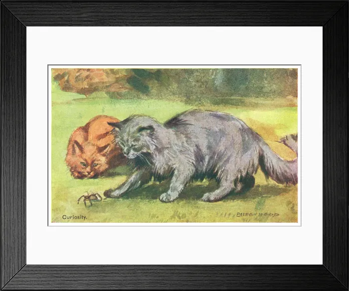 Framed Print : Cats with a spider Framed Print : Cats with a spider