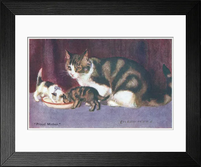 Framed Print : Cat & Kittens Framed Print : Cat & Kittens