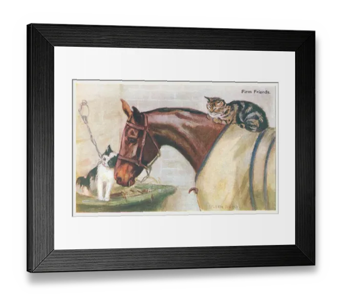 Framed Print : Horse & Two Cats Framed Print : Horse & Two Cats