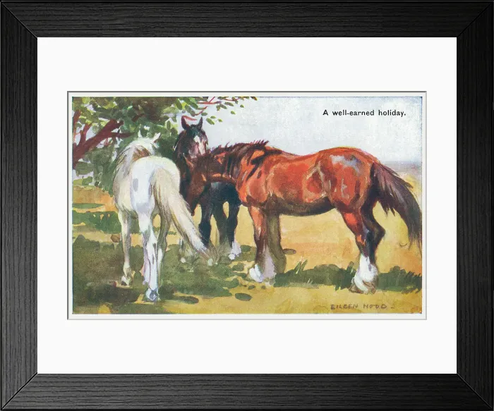 Framed Print : Three Horses Framed Print : Three Horses
