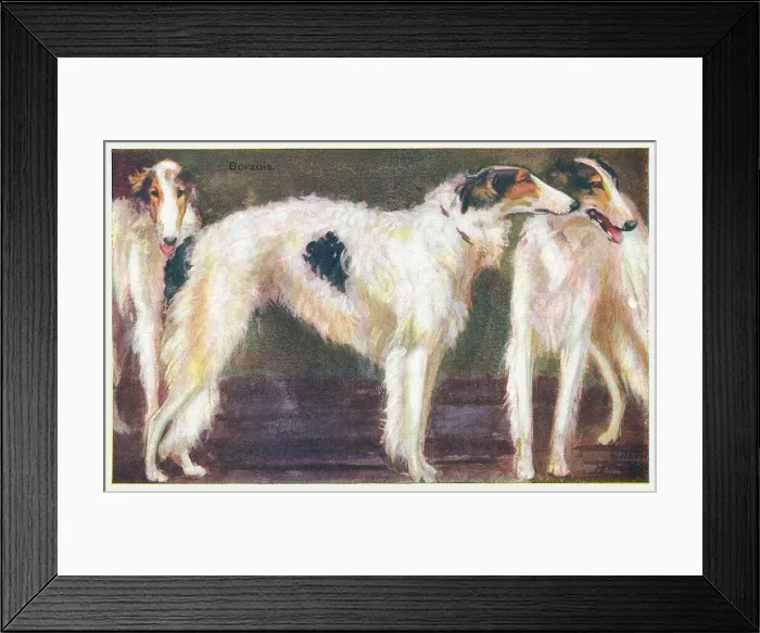 Framed Print : Borzois. Painting of three borzoi dogs. Artist: Eileen Hood Date: circa 1912 Framed Print : Borzois. Painting of three borzoi dogs. Artist: Eileen Hood Date: circa 1912