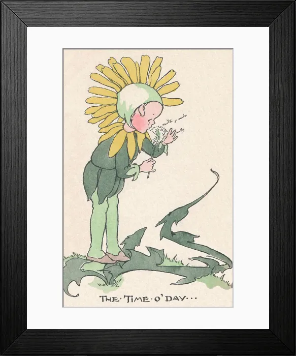 Framed Print : Dandelion Clock Framed Print : Dandelion Clock