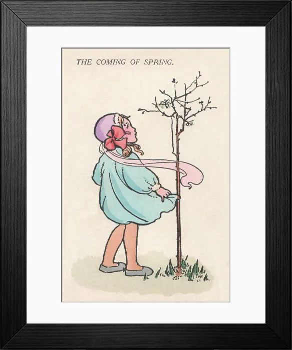Framed Print : Spring. Young tree showing the first sign of leaves Framed Print : Spring. Young tree showing the first sign of leaves