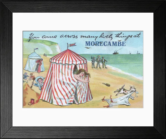 Framed Print : Stop Thief! Framed Print : Stop Thief!