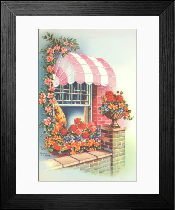 Framed Print : Window Floral Display