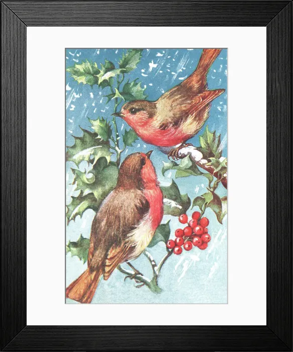 Framed Print : Robins & Holly Berries Framed Print : Robins & Holly Berries