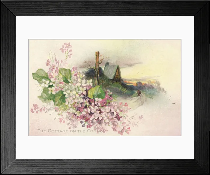 Framed Print : Rural Scene Framed Print : Rural Scene