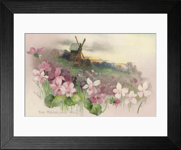 Framed Print : Rural Scene Framed Print : Rural Scene