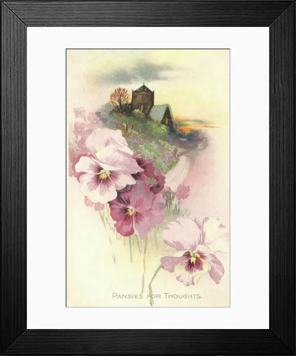 Framed Print : Rural Scene Framed Print : Rural Scene