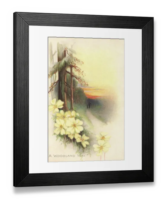 Framed Print : Rural Scene Framed Print : Rural Scene