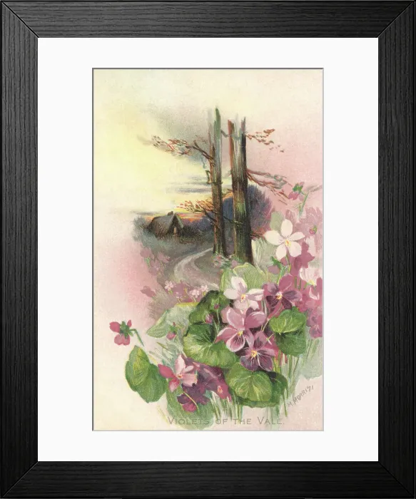 Framed Print : Rural Scene Framed Print : Rural Scene