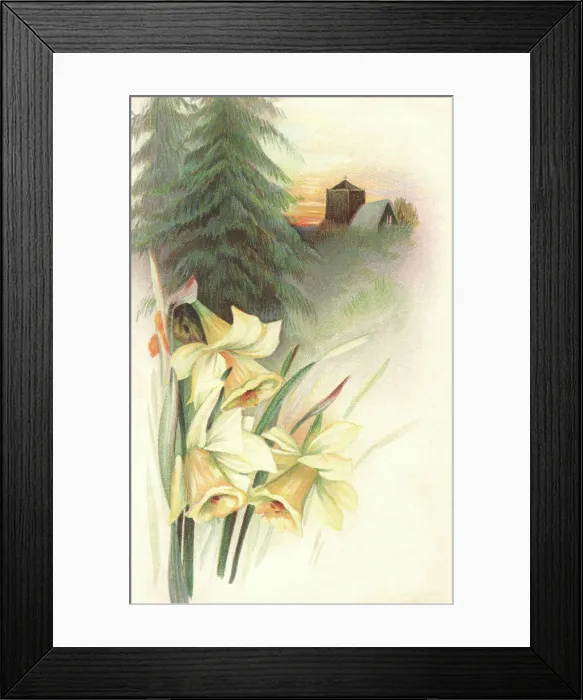 Framed Print : Rural Scene Framed Print : Rural Scene