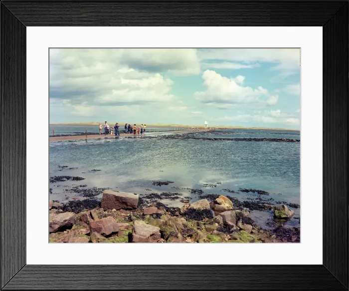 Framed Print : Holy Island - Causeway Framed Print : Holy Island - Causeway