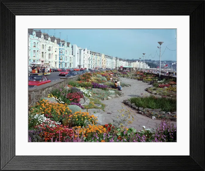 Framed Print : Douglas - Promenade Gardens Framed Print : Douglas - Promenade Gardens