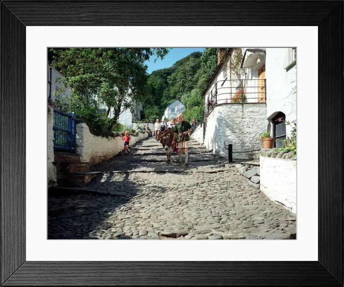 Framed Print : Donkeys, Clovelly Framed Print : Donkeys, Clovelly