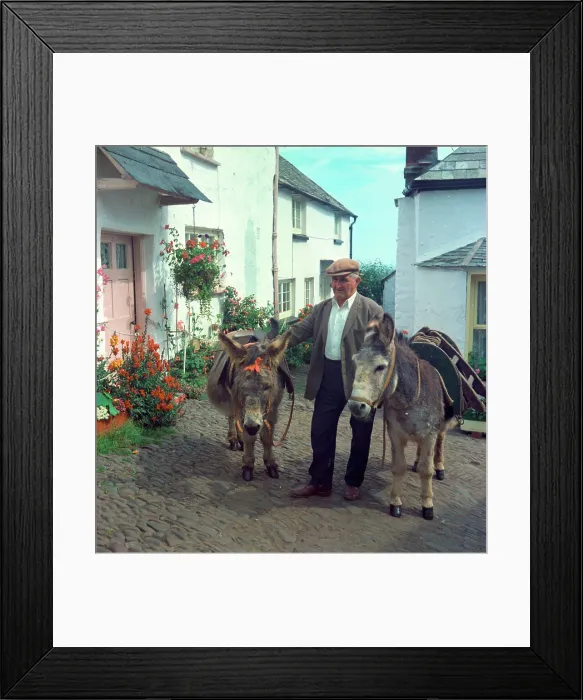 Framed Print : Donkeys, Clovelly Framed Print : Donkeys, Clovelly