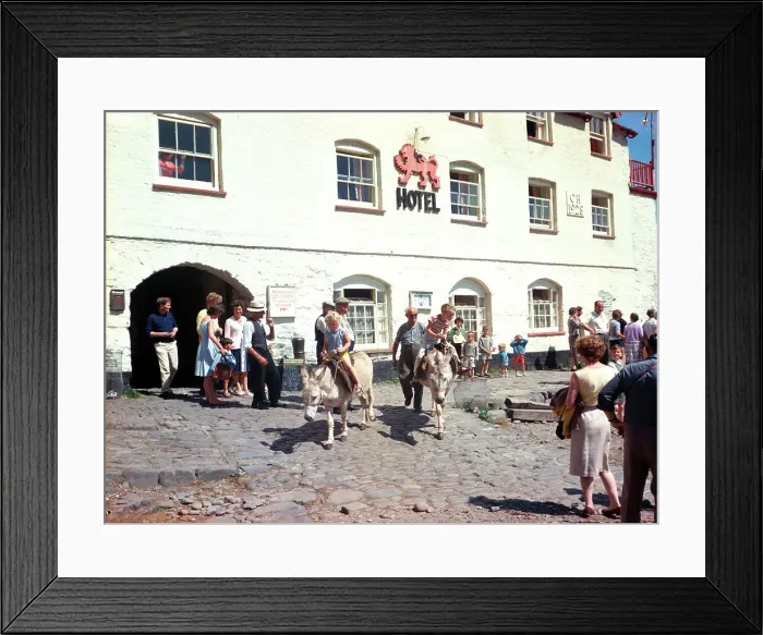 Framed Print : Donkeys, Clovelly Framed Print : Donkeys, Clovelly