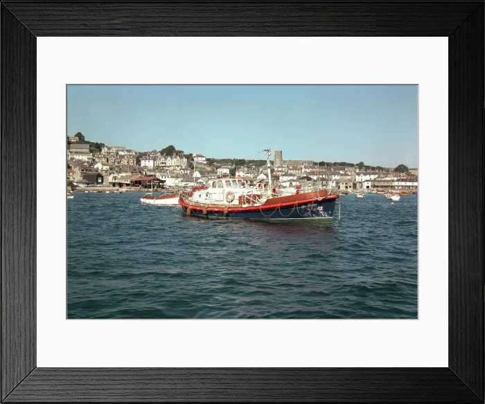 Framed Print : The lifeboat, Salcombe Framed Print : The lifeboat, Salcombe