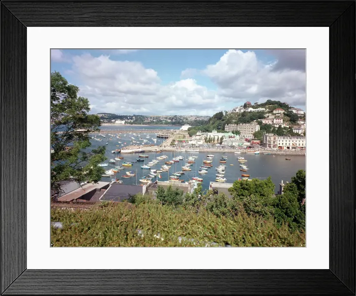 Framed Print : The harbour from Vane Hill, Torquay Framed Print : The harbour from Vane Hill, Torquay