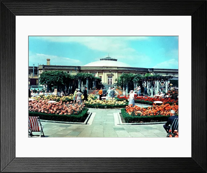 Framed Print : Rose Garden, Winter Gardens, Weston-super-Mare Framed Print : Rose Garden, Winter Gardens, Weston-super-Mare
