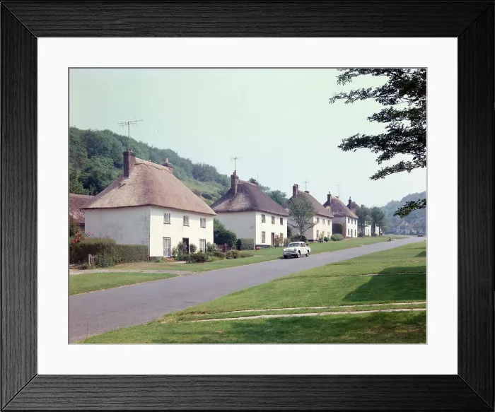 Framed Print : Cottages at Milton Abbas, Dorchester Framed Print : Cottages at Milton Abbas, Dorchester