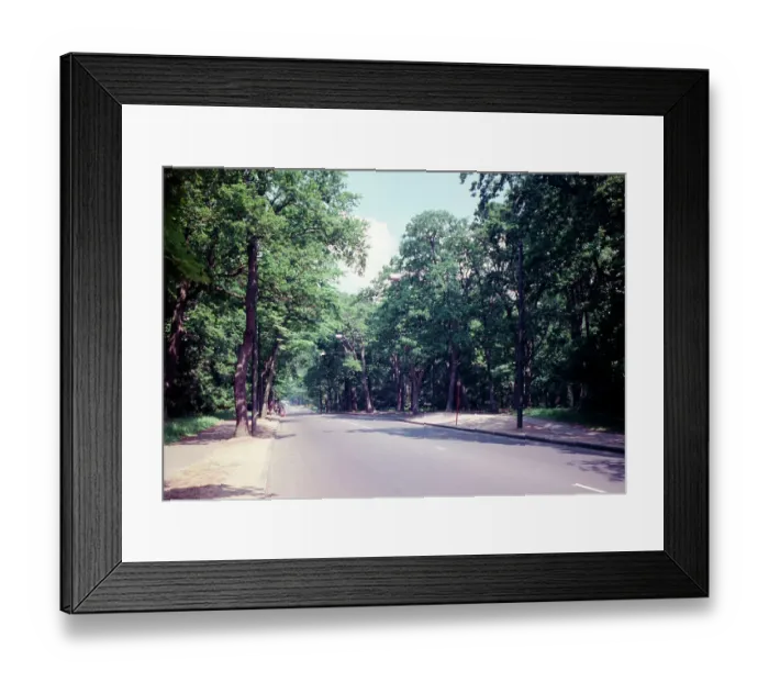 Framed Print : The Avenue, Southampton Framed Print : The Avenue, Southampton