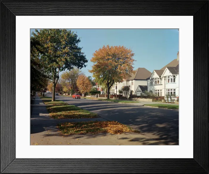Framed Print : Petts Wood Road, Petts Wood Framed Print : Petts Wood Road, Petts Wood