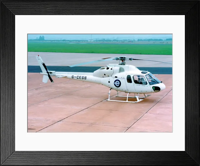 Framed Print : Aerospatiale AS355F1 Ecureuil II G-CEGB Michael Faraday Framed Print : Aerospatiale AS355F1 Ecureuil II G-CEGB Michael Faraday