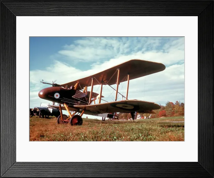 Framed Print : Royal Aircraft Factory FE.8b replica N17501 Framed Print : Royal Aircraft Factory FE.8b replica N17501