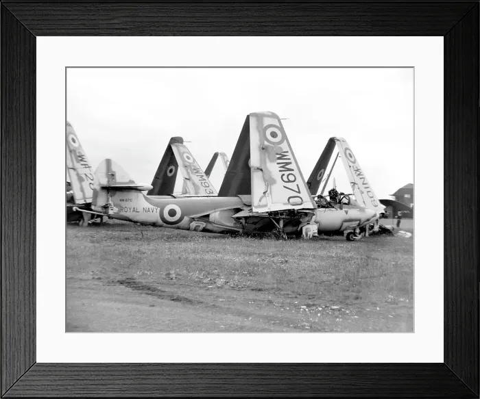 Framed Print : Hawker Sea Hawk FB.3 WM970 Framed Print : Hawker Sea Hawk FB.3 WM970