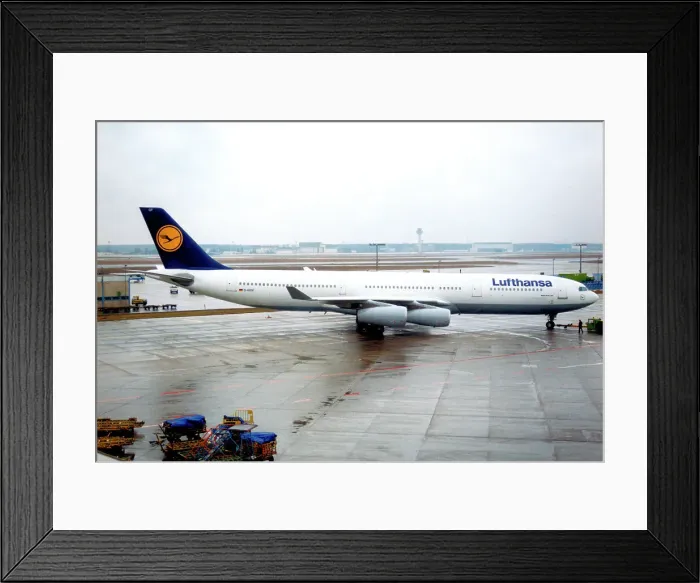 Framed Print : Airbus A340-311 D-AIGF Göttingen Framed Print : Airbus A340-311 D-AIGF Göttingen